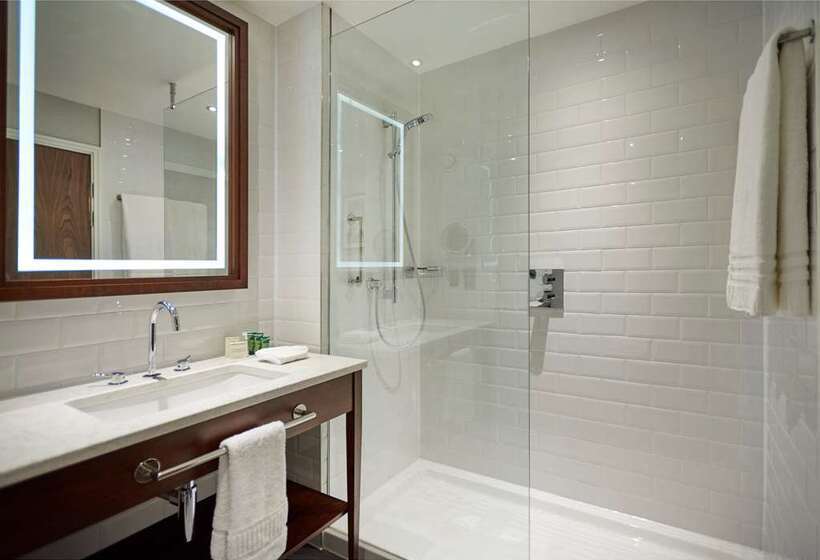 Номер Deluxe с Видом, Hilton Southampton   Utilita Bowl