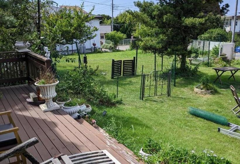 Студия Стандарт, Pension Alba   Vacation Stay 70965v