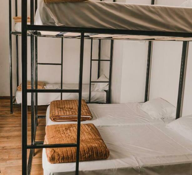 Кровать в Общей Комнате, Wild Monkey Hostel