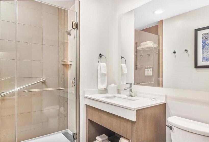 Quarto Estandar Cama King, Hyatt House Houston Medical Center