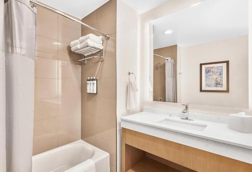 Suíte para Deficientes Físicos, Hyatt House Houston Medical Center