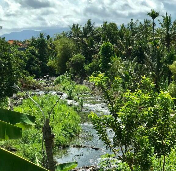 Вилла 1 Спальня Вид на Сад, The Green Ujung Villa
