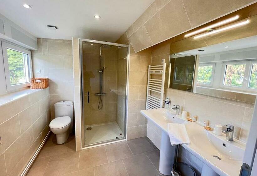 Номер Стандарт, Le Clos Joli