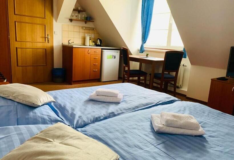 Номер Стандарт, Penzion G