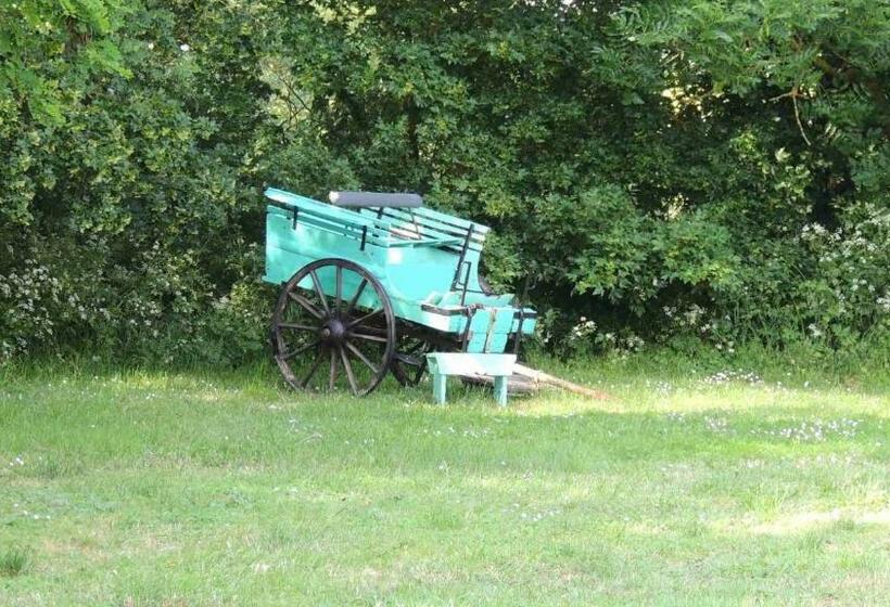 Номер Стандарт, Moulin De La Placette
