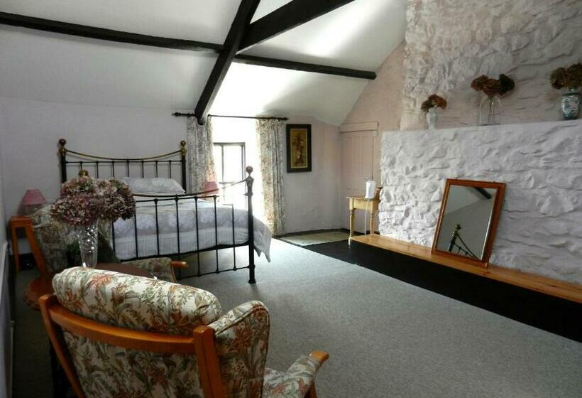 Номер Deluxe Кровать Кинг, Cilwen Country House Bed And Breakfast