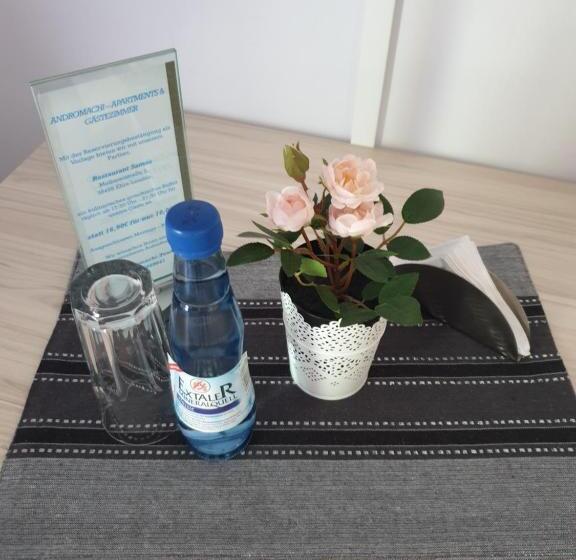 Номер Стандарт Индивидуальный, Andromachi Apartments