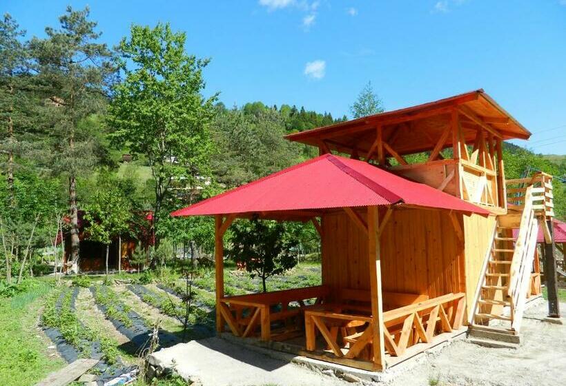 Апартаменты 1 Спальня с Террасой, Yesilyayla Eko Turizm
