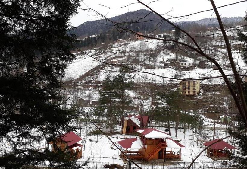 Апартаменты 1 Спальня с Террасой, Yesilyayla Eko Turizm