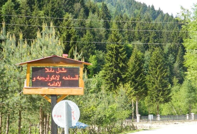 Апартаменты 1 Спальня Вид на Сад, Yesilyayla Eko Turizm