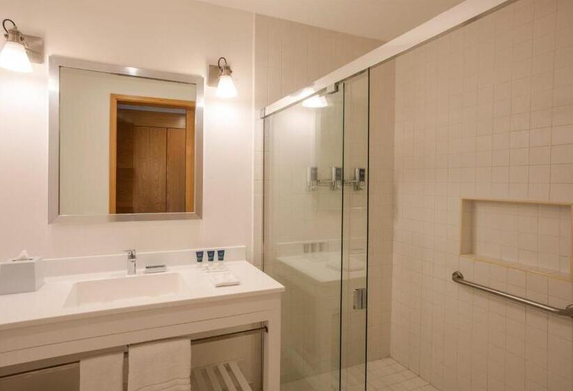 带城市景观和大床的豪华房间, Four Points By Sheraton Cancun Centro
