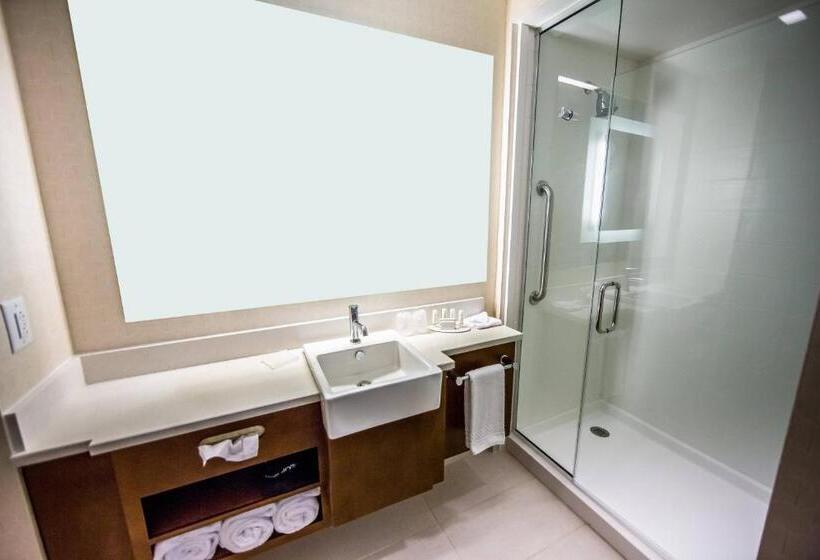 Студия Стандарт Кровать Куин, Springhill Suites Lumberton