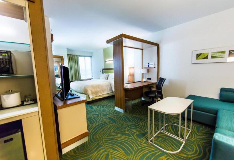 Студио Стандарт Кровать Кинг, Springhill Suites Lumberton