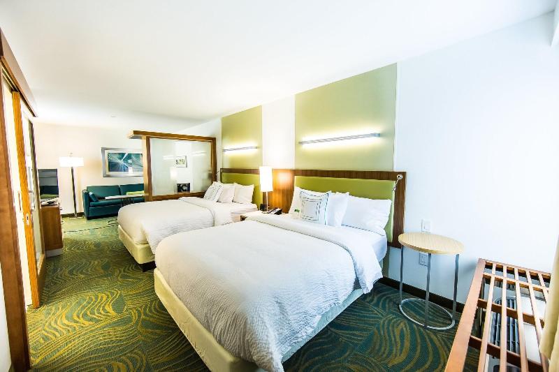 Студия Стандарт Кровать Куин, Springhill Suites Lumberton