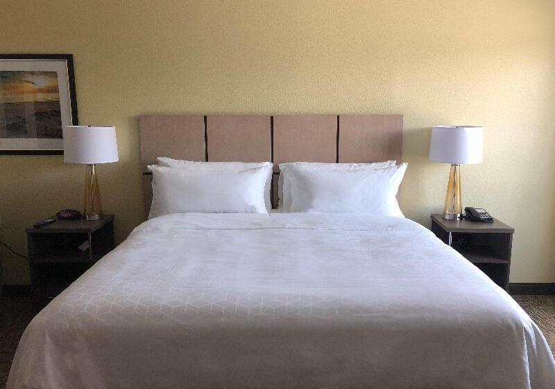 Suite, Saccharum Resort