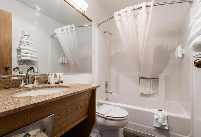 Стандартный Номер Кровать Кинг, Sonora Aladdin Motor Inn