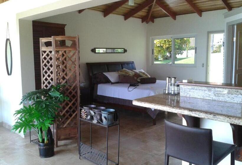 Люкс Кровать Кинг, Vista Hermosa Bed And Breakfast
