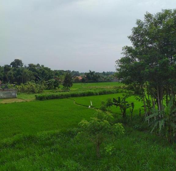 Номер Deluxe, Penginapan Banyu Biruku