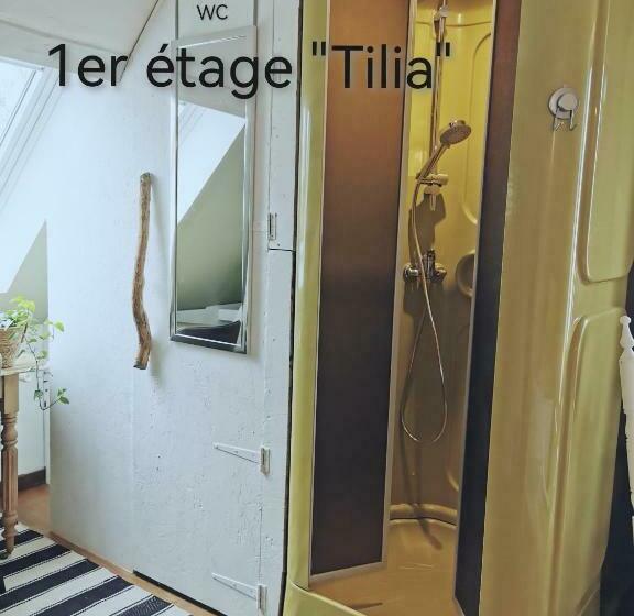 اتاق استاندارد, La Coticia