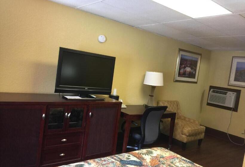 스탠다드 룸 킹사이즈 침대, Americas Best Value Inn Stone Mountain Atlanta E
