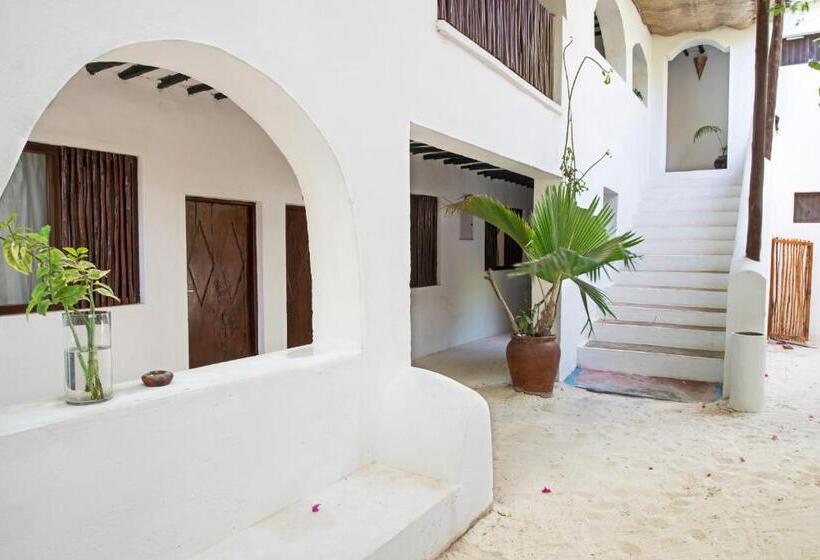 اتاق اکونومی, Indigo Beach Zanzibar