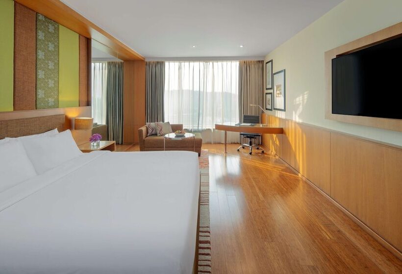 高级大房间, Radisson Blu Hotel Guwahati