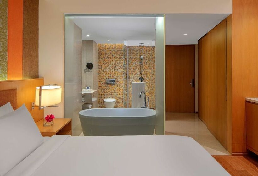 豪华房间, Radisson Blu Hotel Guwahati