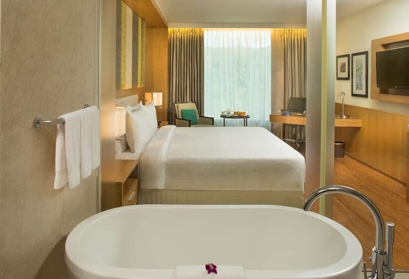 Habitació Deluxe, Radisson Blu Hotel Guwahati