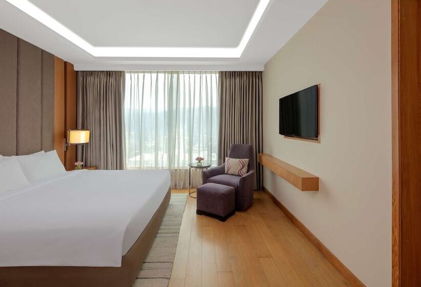 套房, Radisson Blu Hotel Guwahati