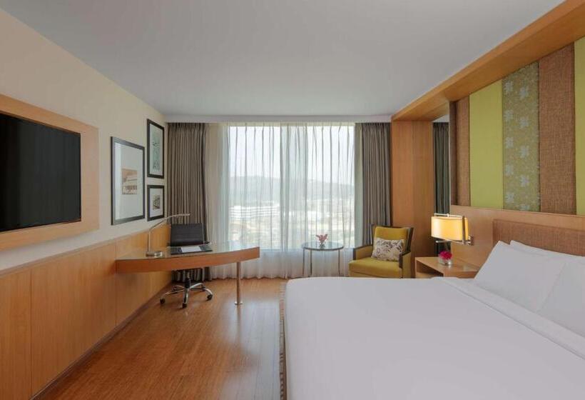 商务房间, Radisson Blu Hotel Guwahati