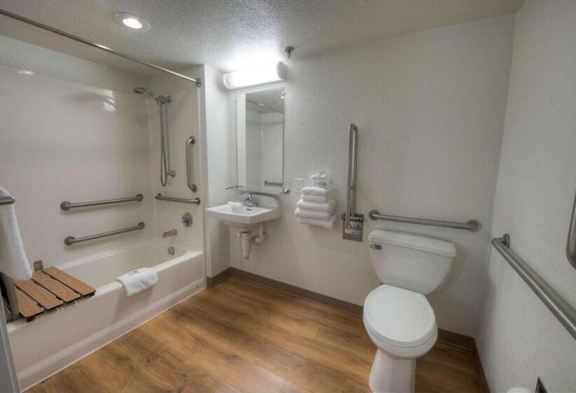 장애인을 위한 스탠다드 룸, Motel 6branford, Ct  New Haven