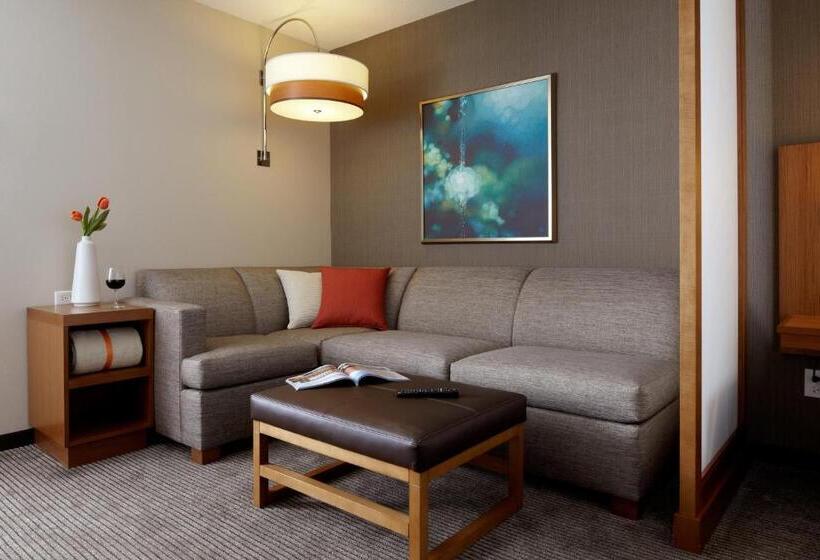 Стандартный Номер Кровать Кинг, Hyatt Place Lincoln/downtown Haymarket