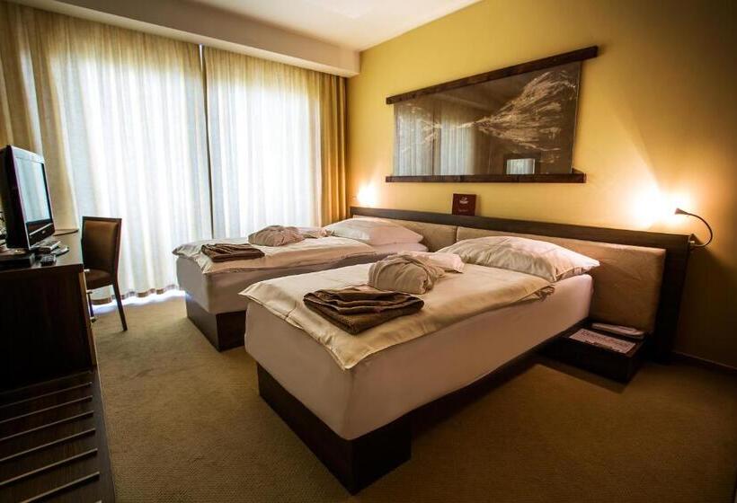Номер Стандарт, Wellness Hotel Diplomat