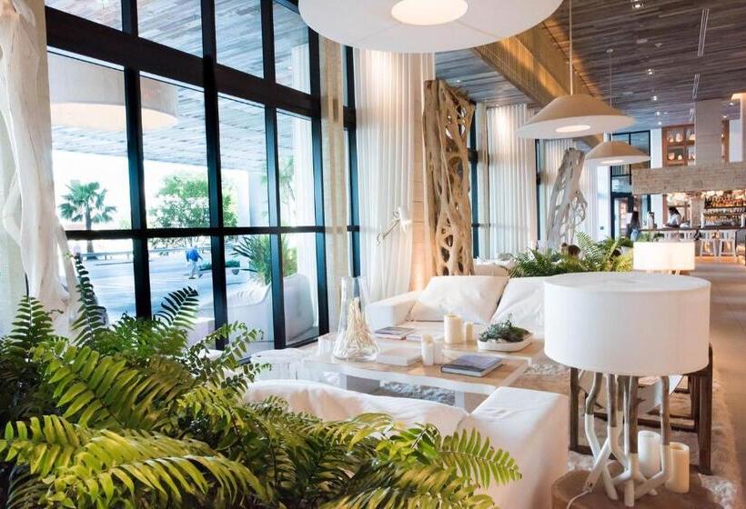 带海景的复工套房, 1 Hotel & Homes Miami Beach Oceanfront Residence Suites By Joe Semary