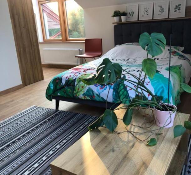 Номер Deluxe, Medical Spa Kwiatowa