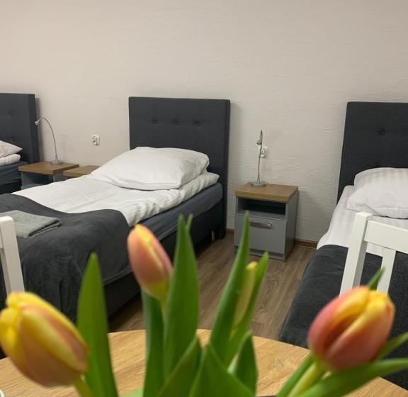 豪华三人间, Hostel Adabet