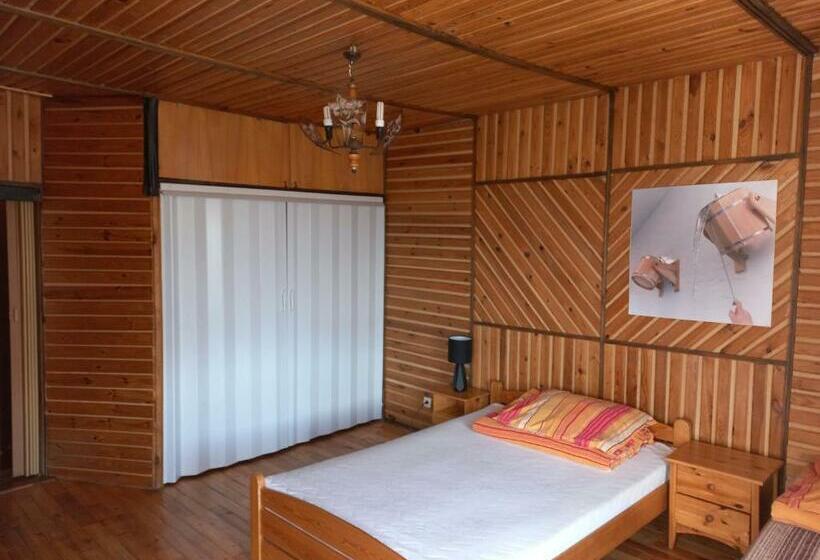 شقة غرفة واحدة, Holiday Ozon