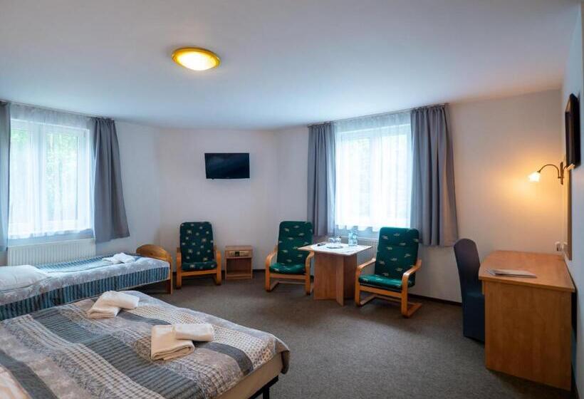 Трежместный Номер Economy, Sajmino Family House