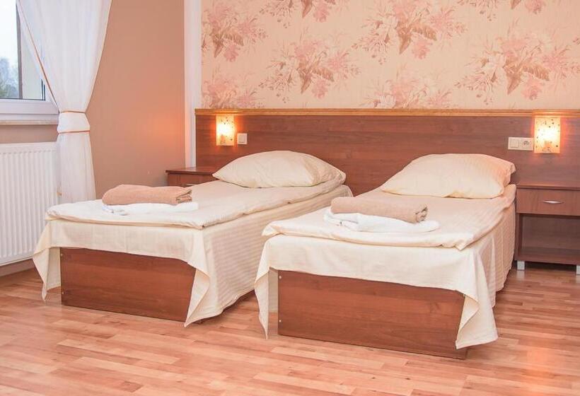 Номер Стандарт, Ik Wulpink Majdy Olsztyn