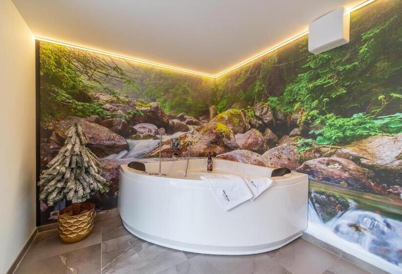 Апартаменты 2 Спальни, Serce Tatr Residence Zakopane   Blisko Krupówek
