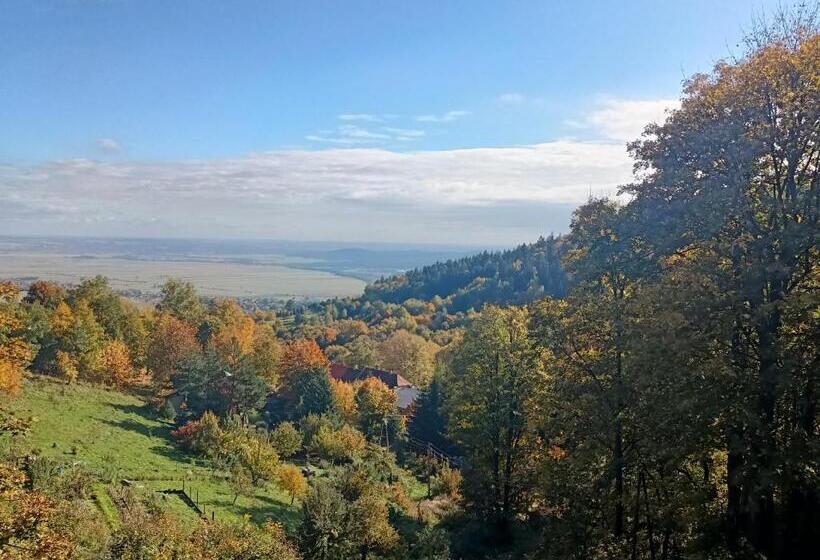 4인용 스탠다드 룸, Villa Hubertus