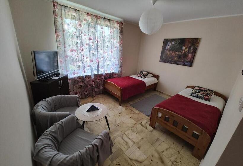 اتاق استاندارد, Vistula City