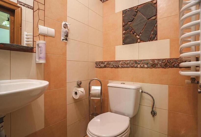 Номер Стандарт Вид на Горы, Biały Dunajec Resort & Spa
