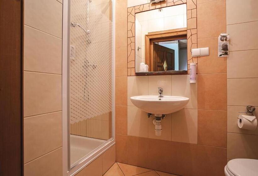 Номер Стандарт, Biały Dunajec Resort & Spa