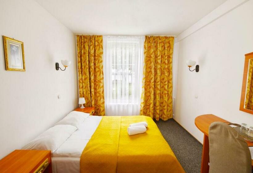 Номер Стандарт Вид на Озеро, Pirat Hotel & Spa Hotel Z Basenem