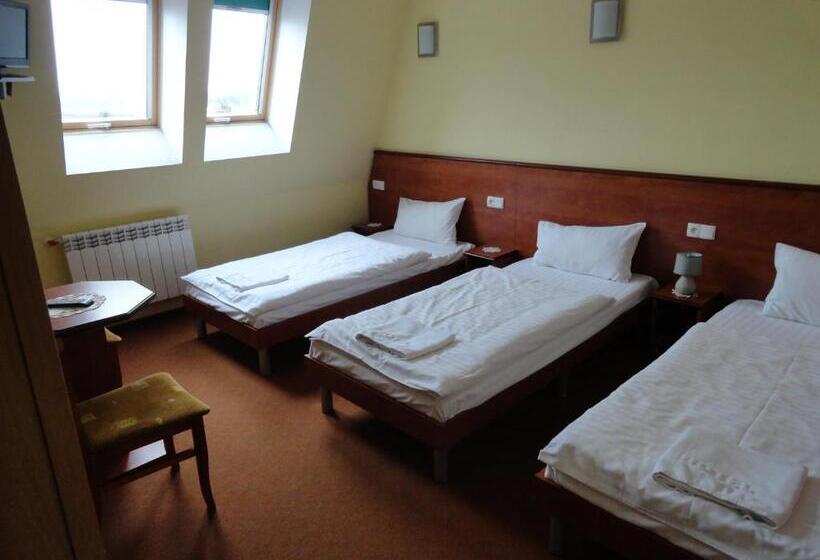 Номер Стандарт Трехместный, Wielkopolanka