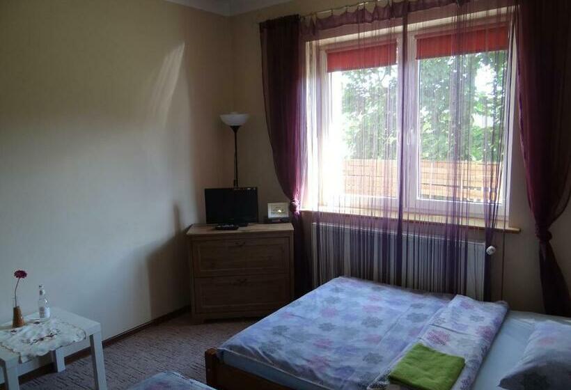 Номер Стандарт 2 Двуспальные Кровати, Noclegi Airportpark