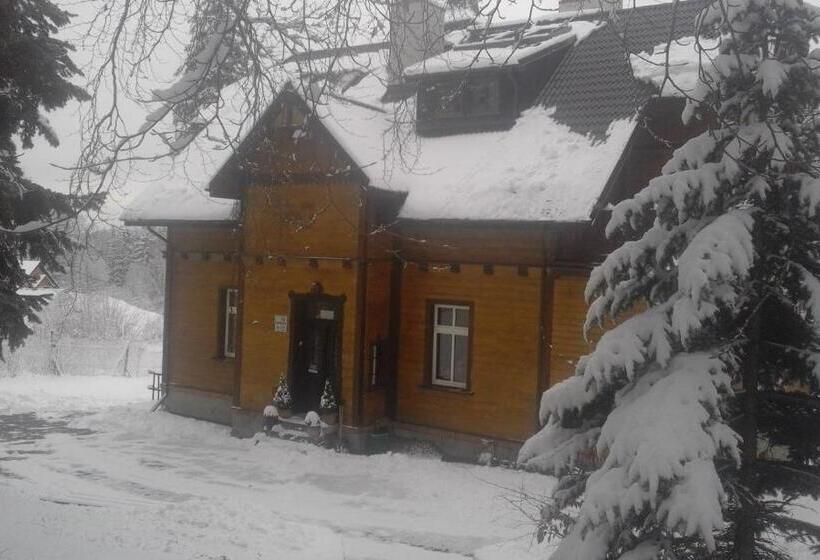 Номер Стандарт Вид на Горы, Willa Nimfa   Pokoje I Apartamenty W Centrum