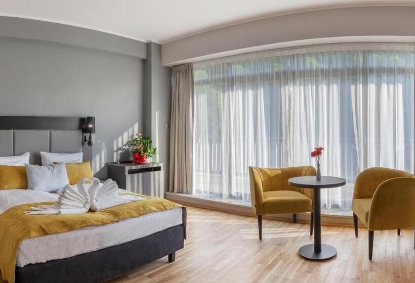 Номер Deluxe, Silesia Krynica