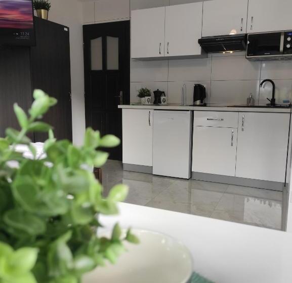 Студио Стандарт с Балконом, Pokoje I Apartamenty U Sabiny   Apartament I Domek Z Jacuzzi Na Wyłączność   Pozostałe Pokoje Bez Ja